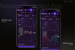 Nexon – Web3 Trading Platform UI Design
